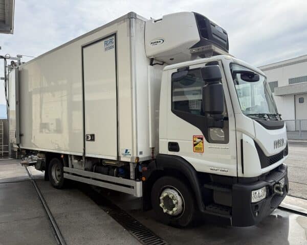 IVECO EUROCARGO 120 E 19 P ANNO 2017 EURO 6 FRIGO